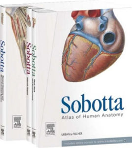 Sobotta, Atlas of Human Anatomy – Latin Nomenclature, 3 Vols.