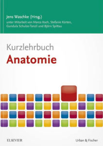 Kurzlehrbuch Anatomie