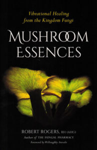 Mushroom Essences:
