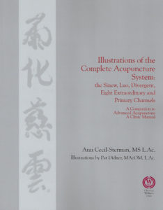 Illustrations of the Complete Acupuncture System