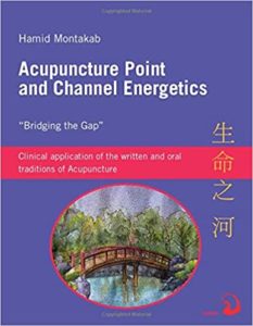 Acupuncture Point and Channel Energetics