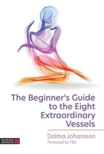 The Beginner’s Guide to the Eight Extraordinary Vessels