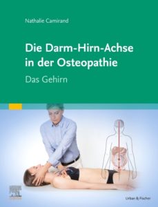 Die Achse Hirn-Darm-Becken in der Osteopathie